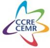 Council of European Municipalities and Regions (CEMR)